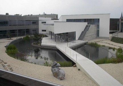 Koi pond Groenlo